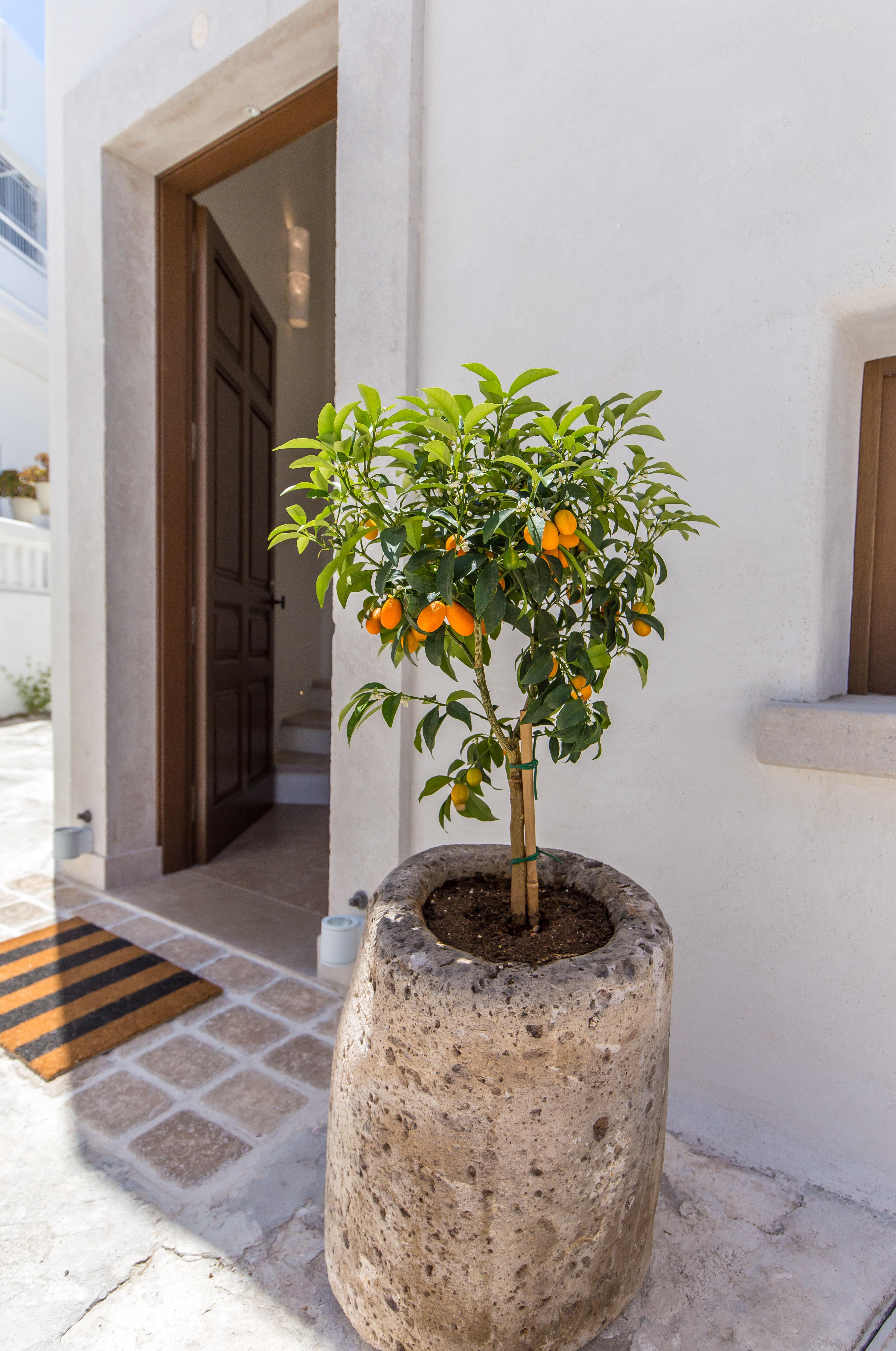 Anagram Hotel Mykonos Town Exterior photo